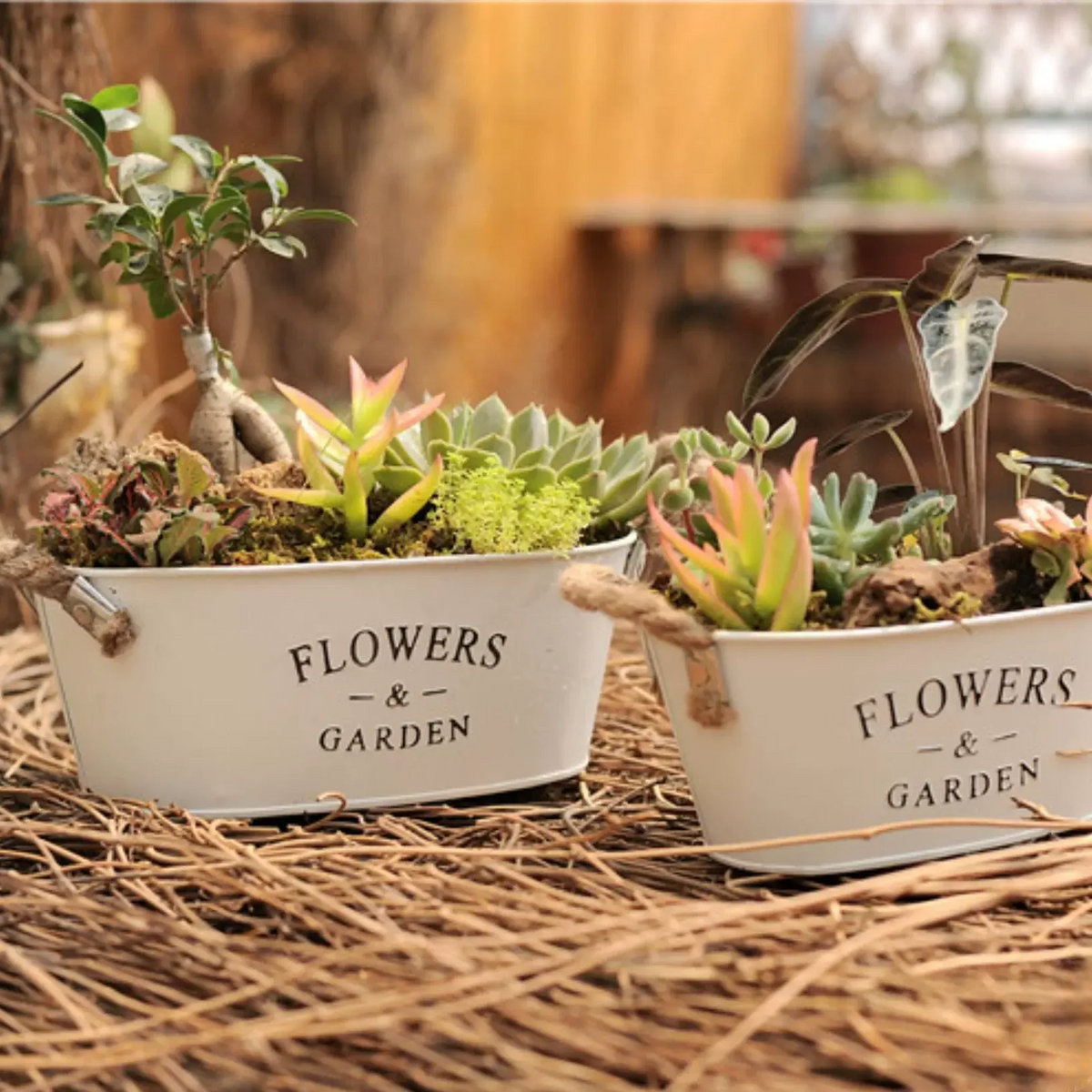 White Farmhouse Metal Planter, Oval or Round