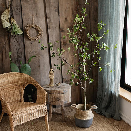 Nestled corner with wicker chair, small table, and potted plant against a wooden wall.