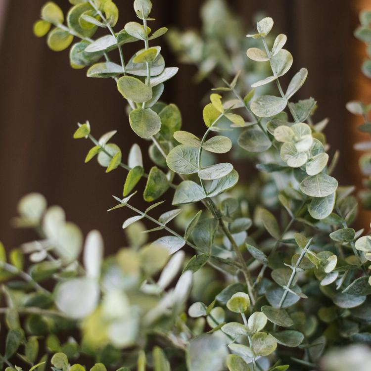 Artificial Green Eucalyptus Stem, 26.4 Inches