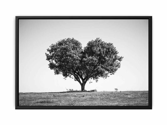 Tree Heart Black and white Photography Canvas Art Print-4