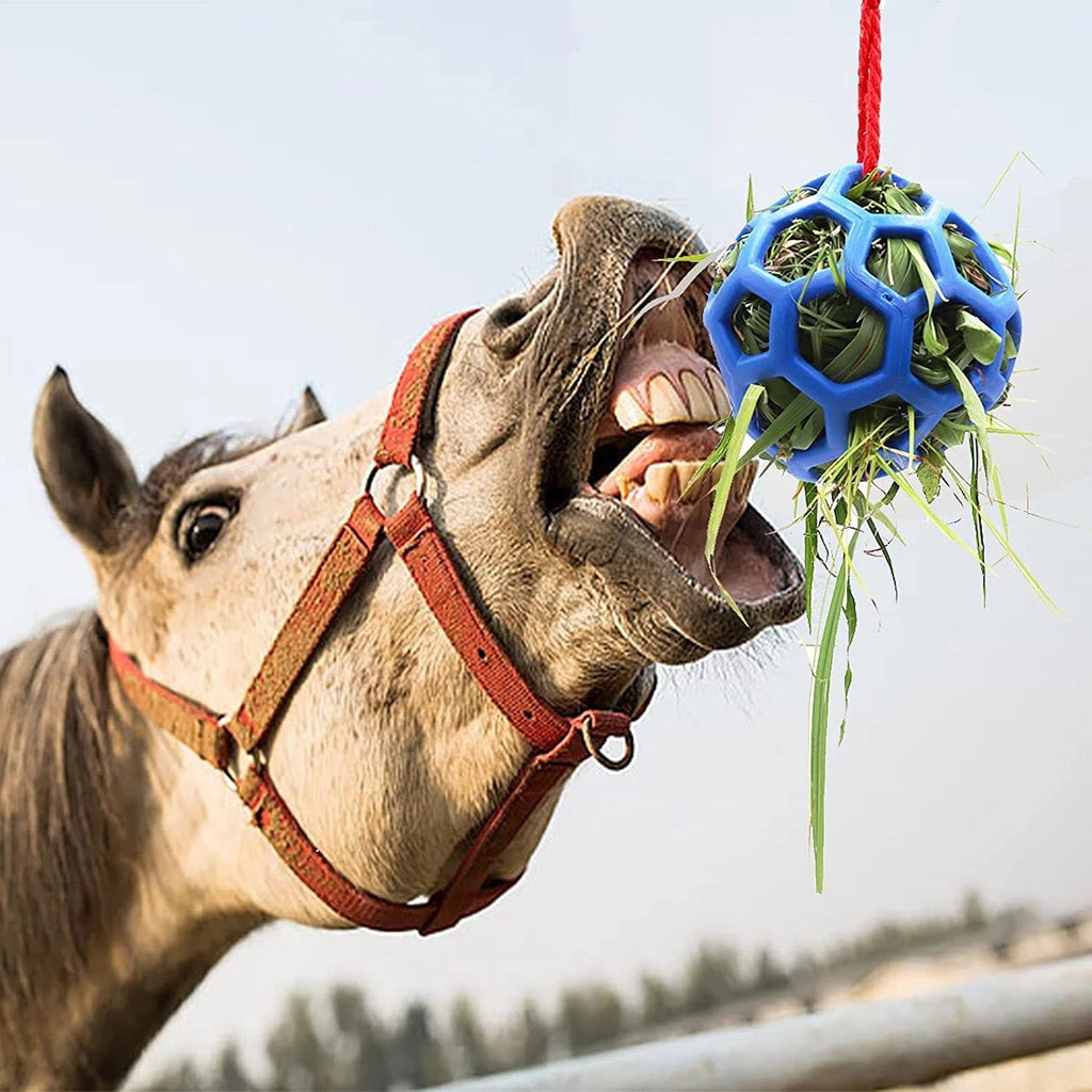 Stable Hanging Hay Feeder Toy Ball uncategorized / needs cleanup with nature-inspired artwork - product view 3