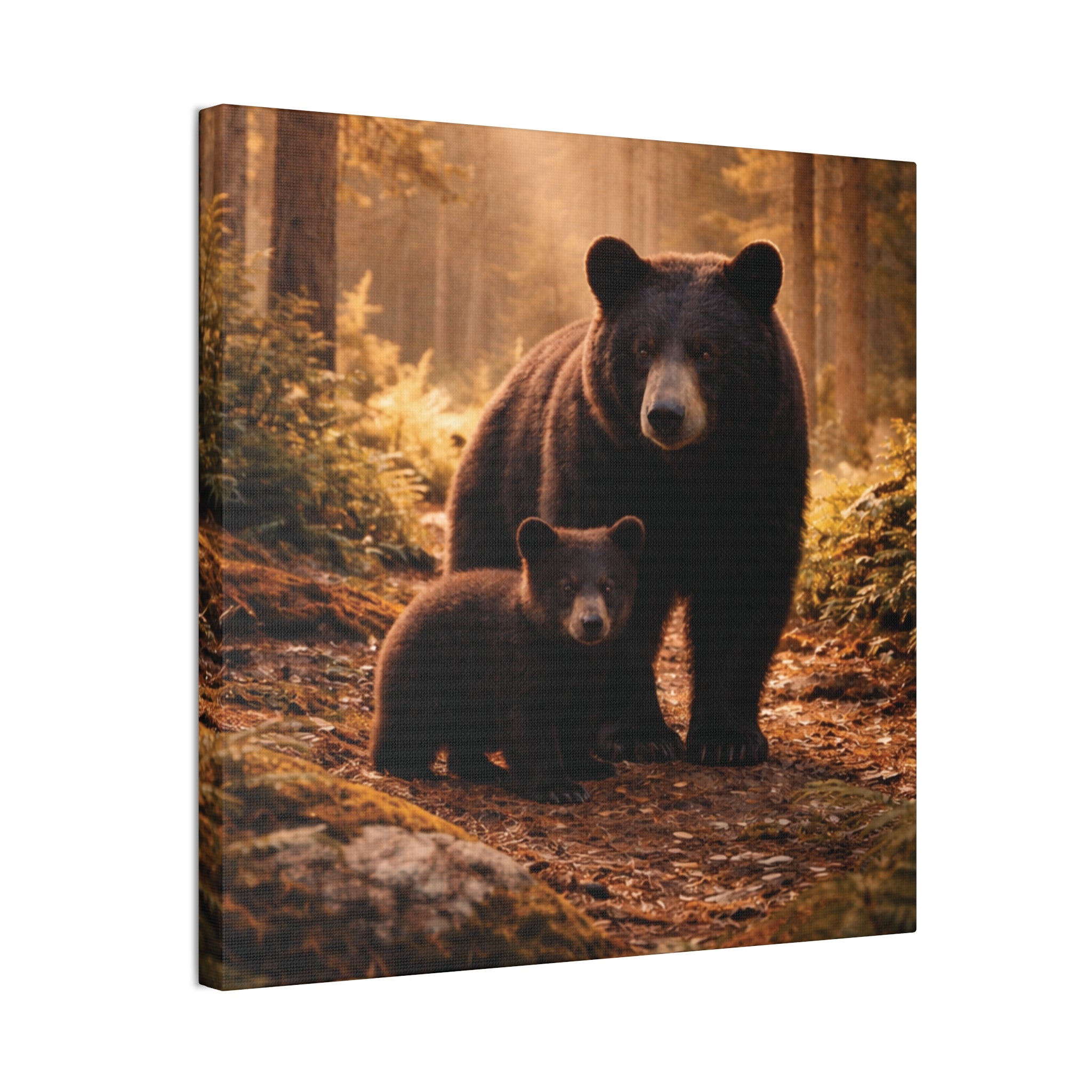 Momma Bear and Cub Wilderness Stretched Canvas