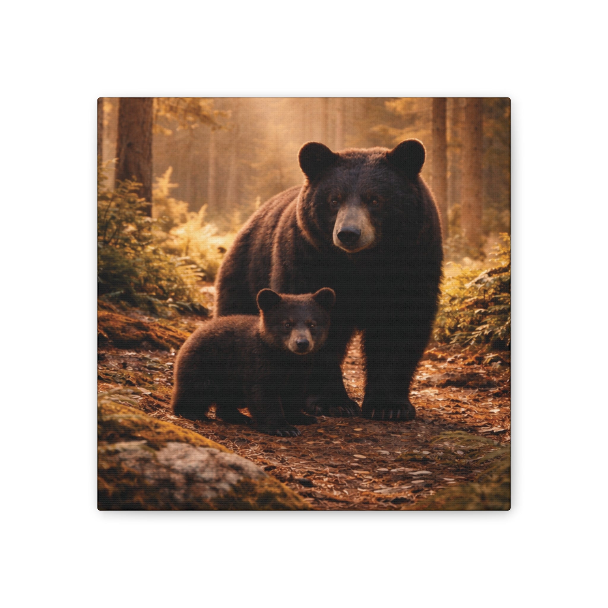 Momma Bear and Cub Wilderness Stretched Canvas