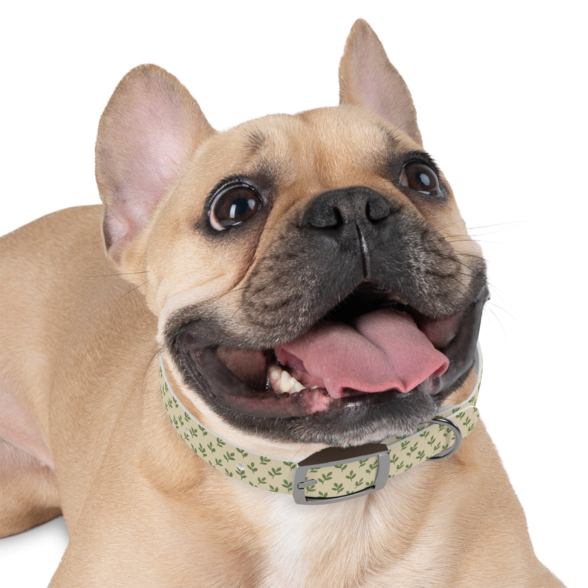 Tranquil Leaf Dog Collar pets with nature-inspired artwork - product view 15
