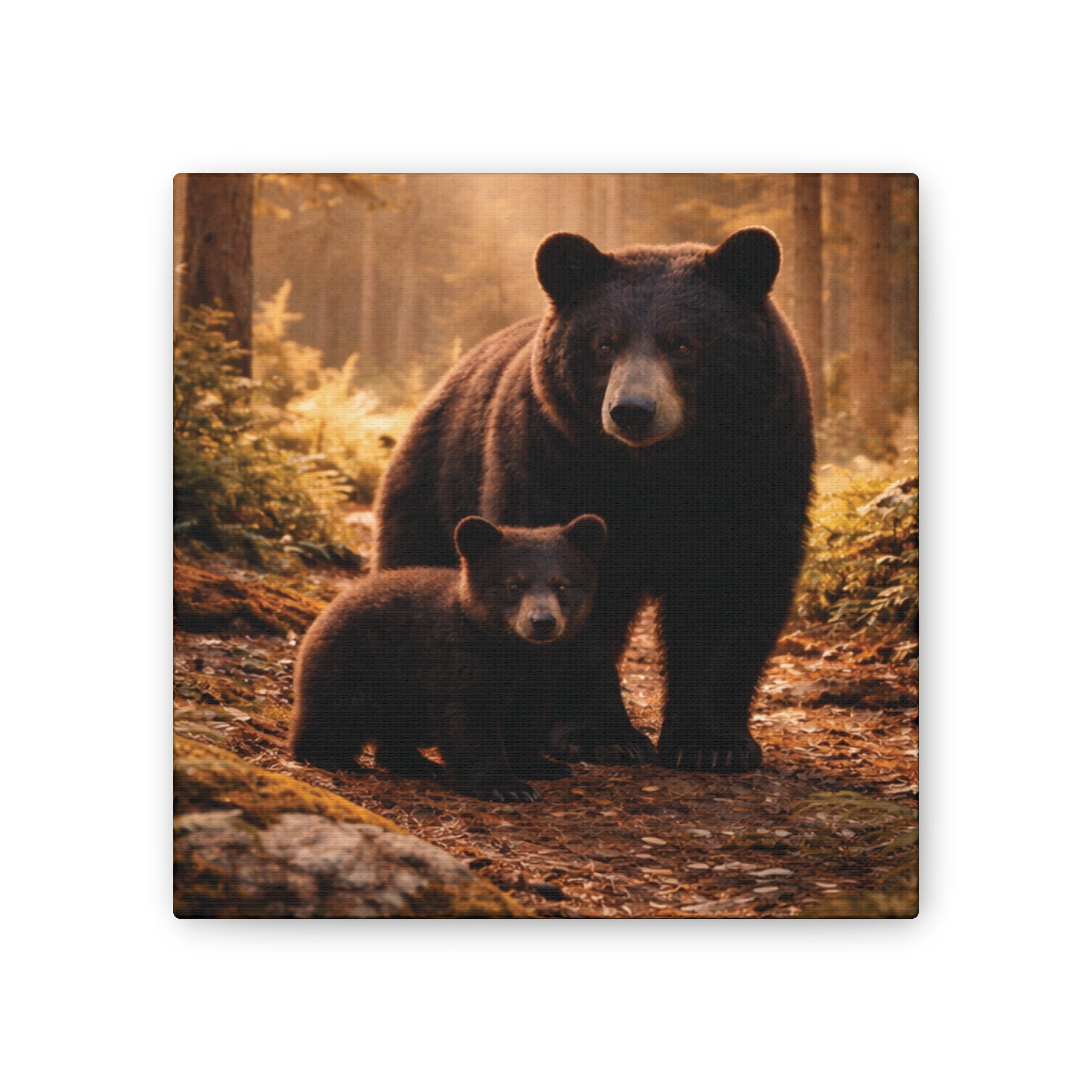 Momma Bear and Cub Wilderness Stretched Canvas