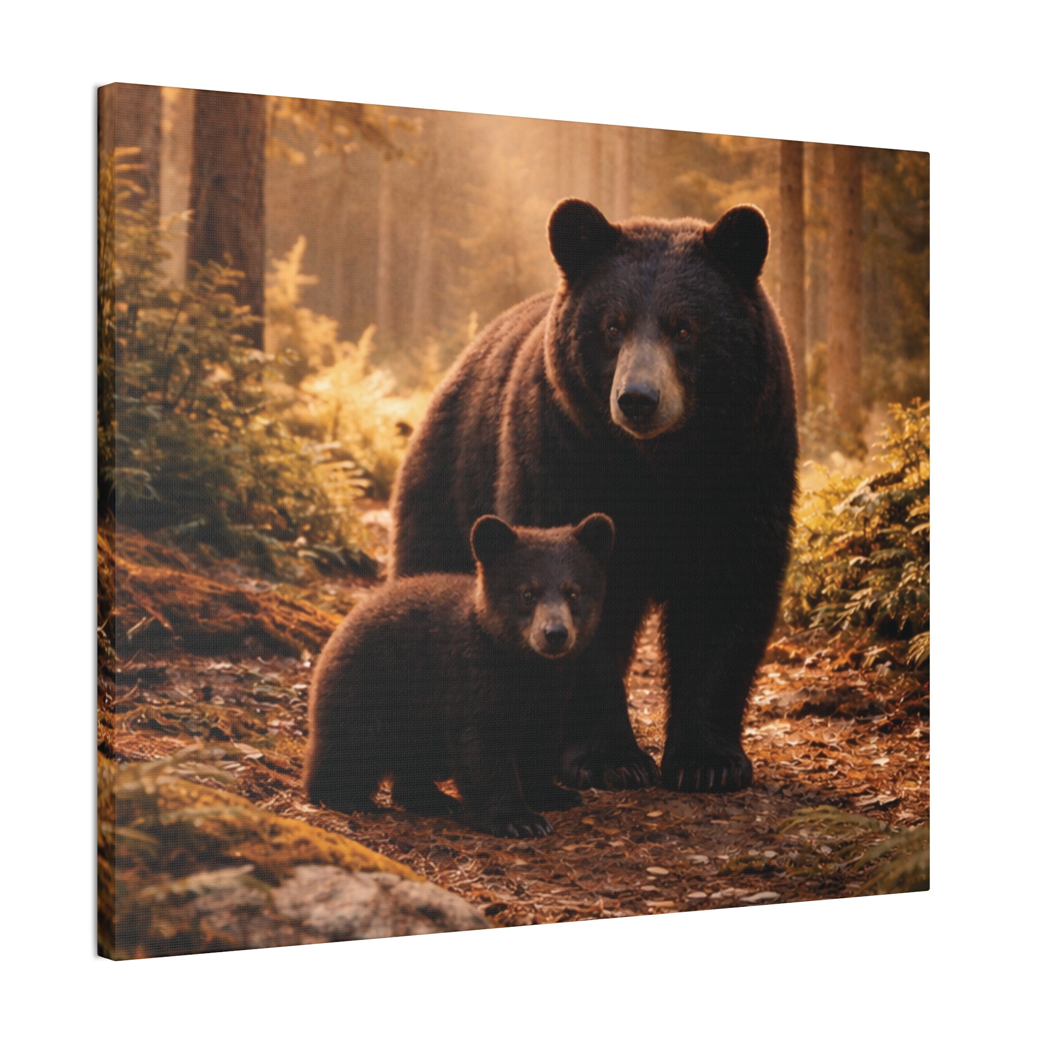 Momma Bear and Cub Wilderness Stretched Canvas