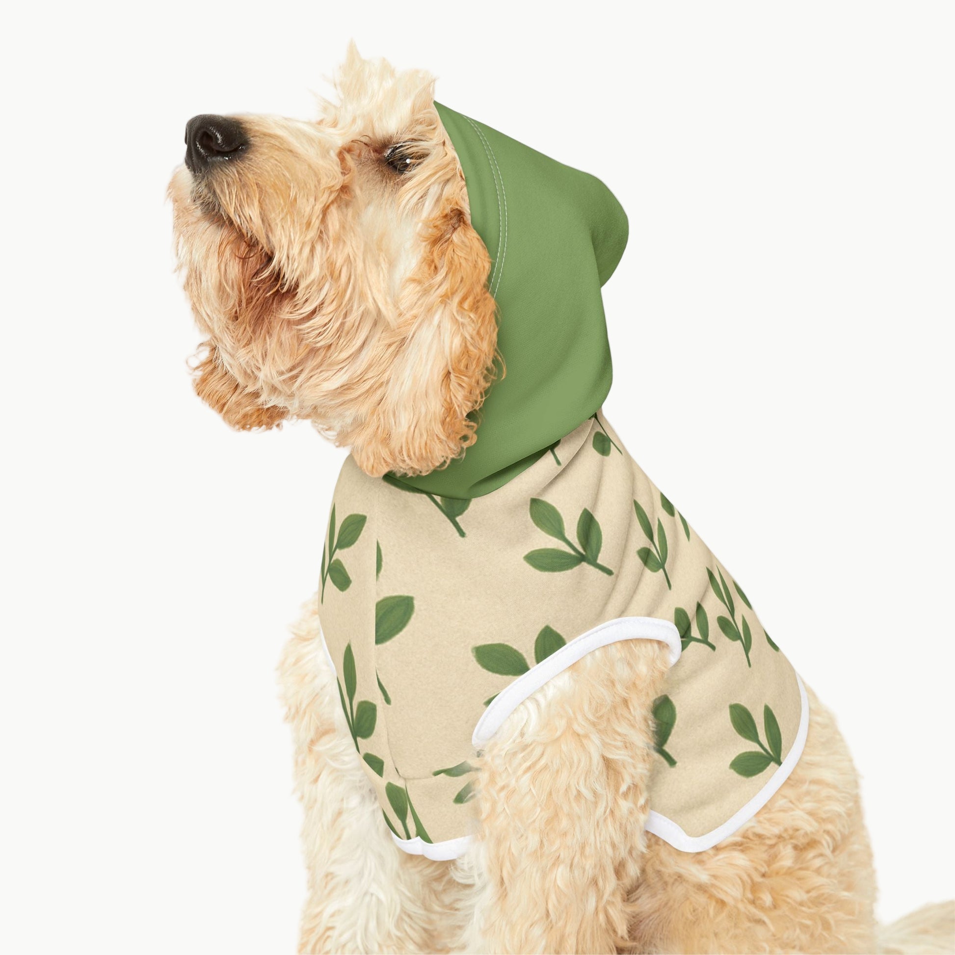 Dog wearing a green hooded outfit with leaf pattern on a white background