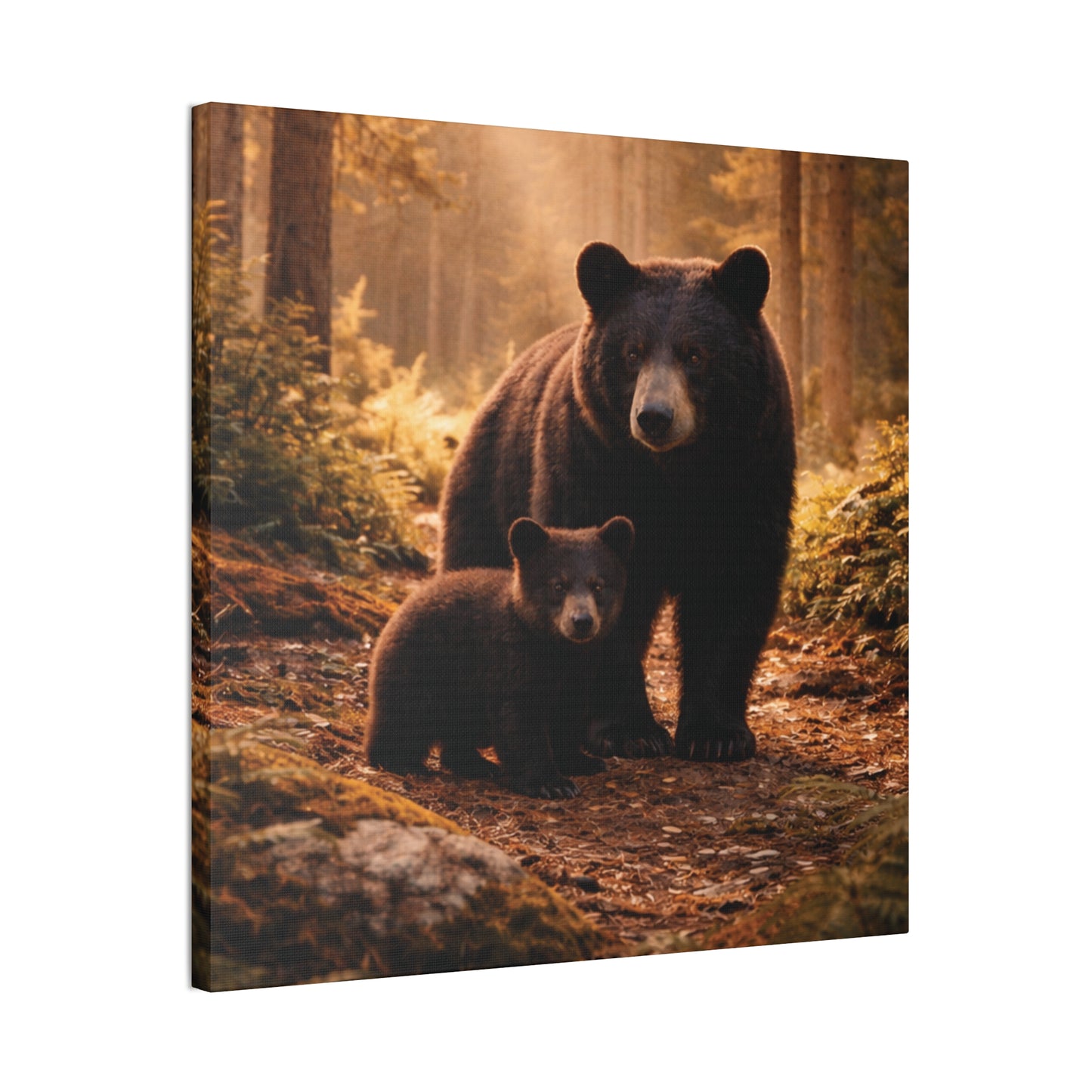 Momma Bear and Cub Wilderness Stretched Canvas