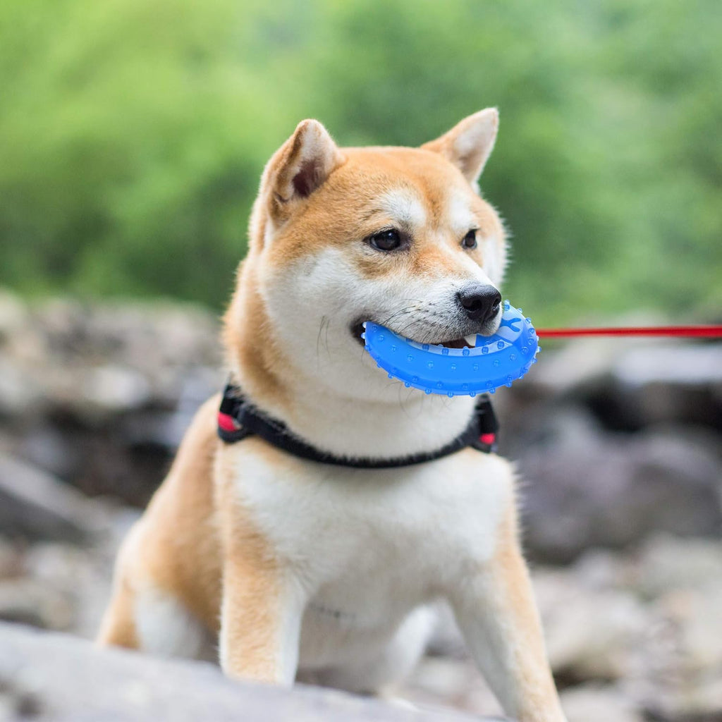 Pet Teether Cooling Chew Toy for Dogs Teething uncategorized / needs cleanup with nature-inspired artwork - product view 8