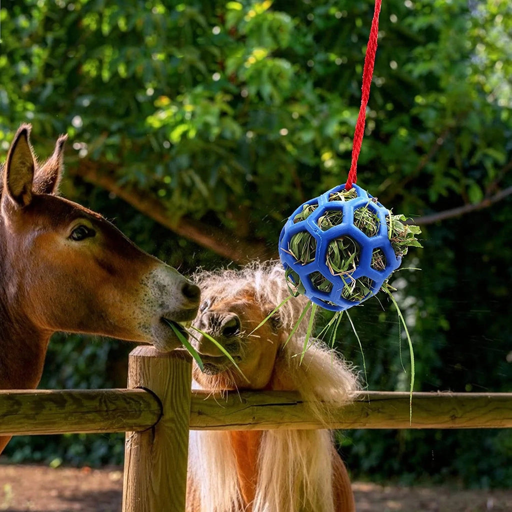 Stable Hanging Hay Feeder Toy Ball uncategorized / needs cleanup with nature-inspired artwork