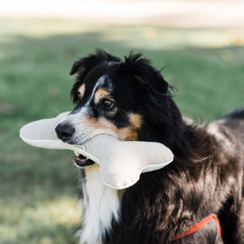 Cotton Velvet Dog Toy Bone Biting Molar Rod uncategorized / needs cleanup with nature-inspired artwork