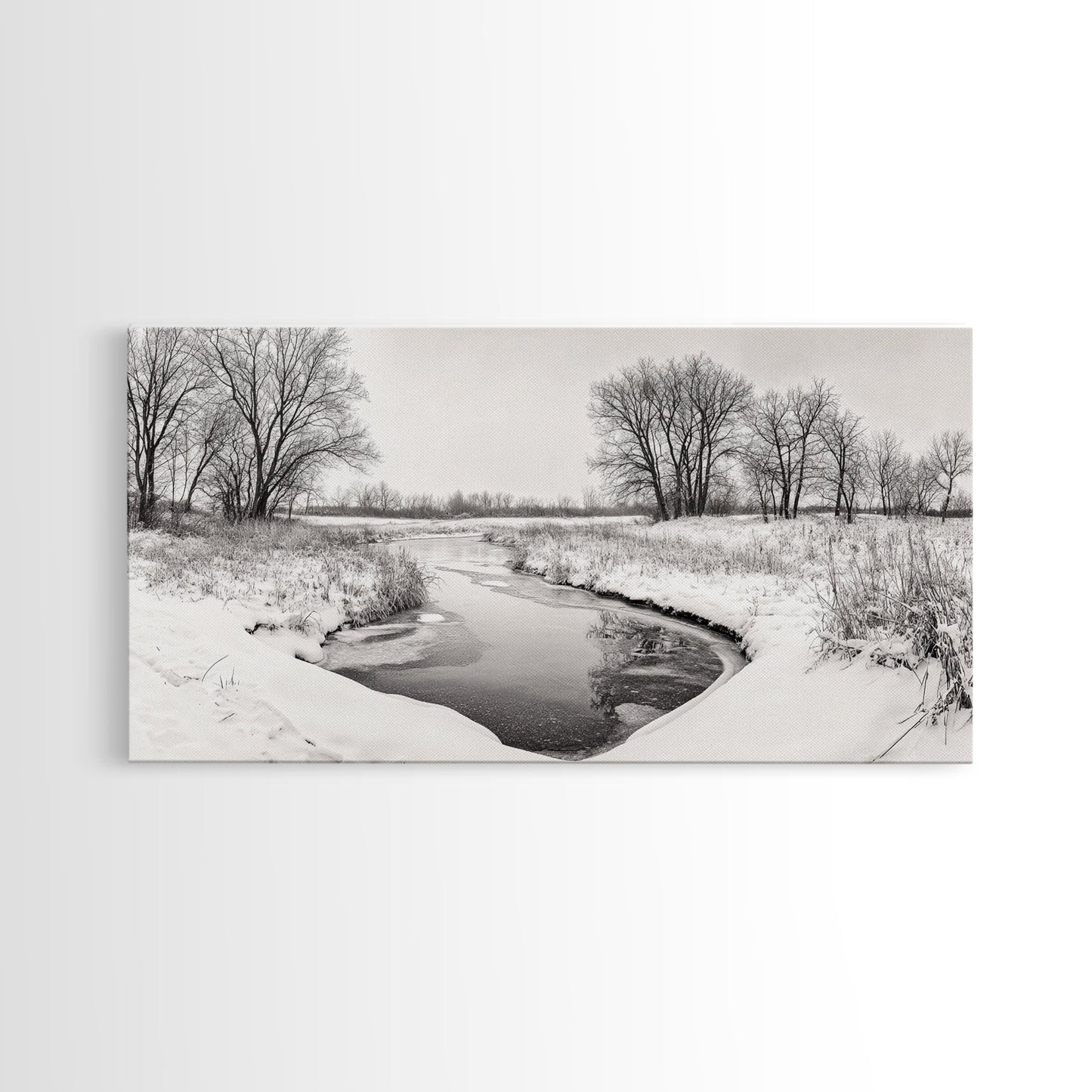 Frozen Stream & Bare Trees | Black & White Landscape Canvas Print