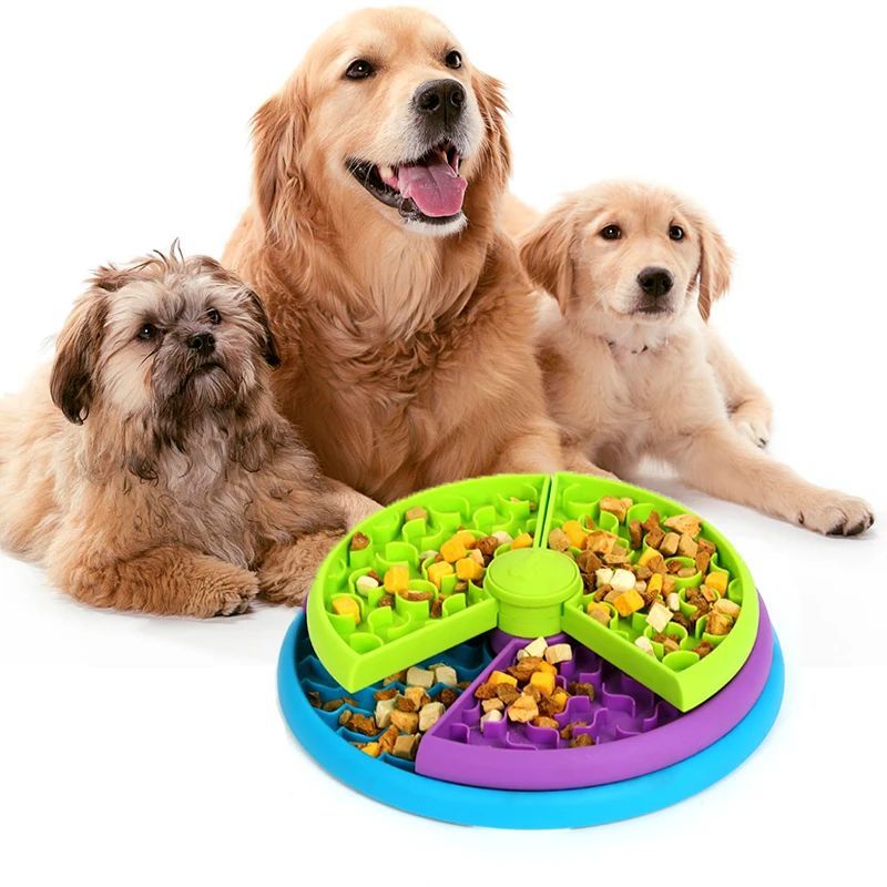 Pet Slow Food Bowl 3 uncategorized / needs cleanup with nature-inspired artwork