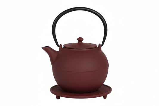 Kyoto Tetsubin Teapot