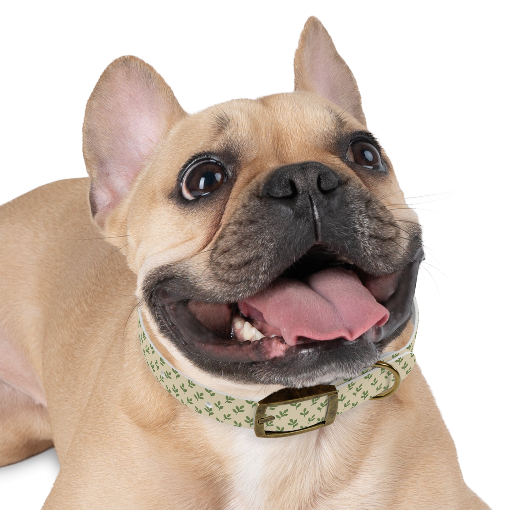 Tranquil Leaf Dog Collar pets with nature-inspired artwork - product view 16