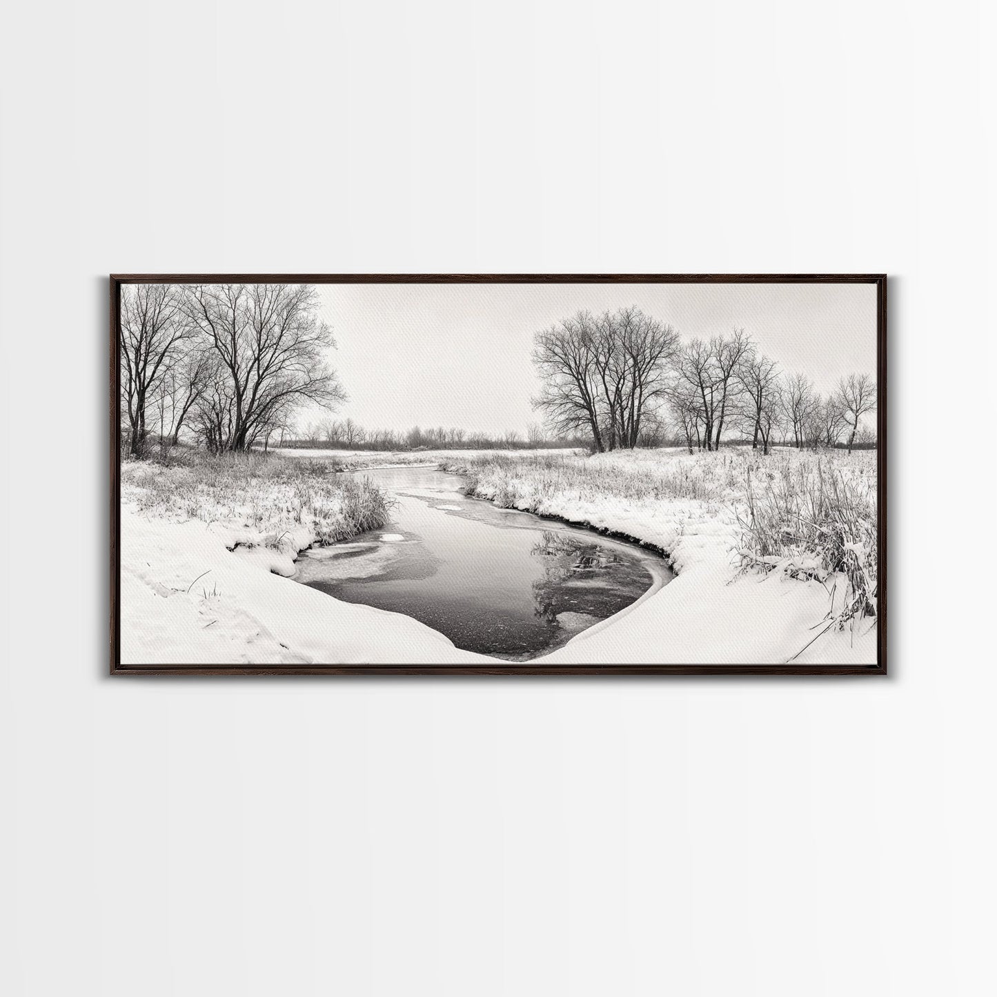 Frozen Stream & Bare Trees | Black & White Landscape Canvas Print