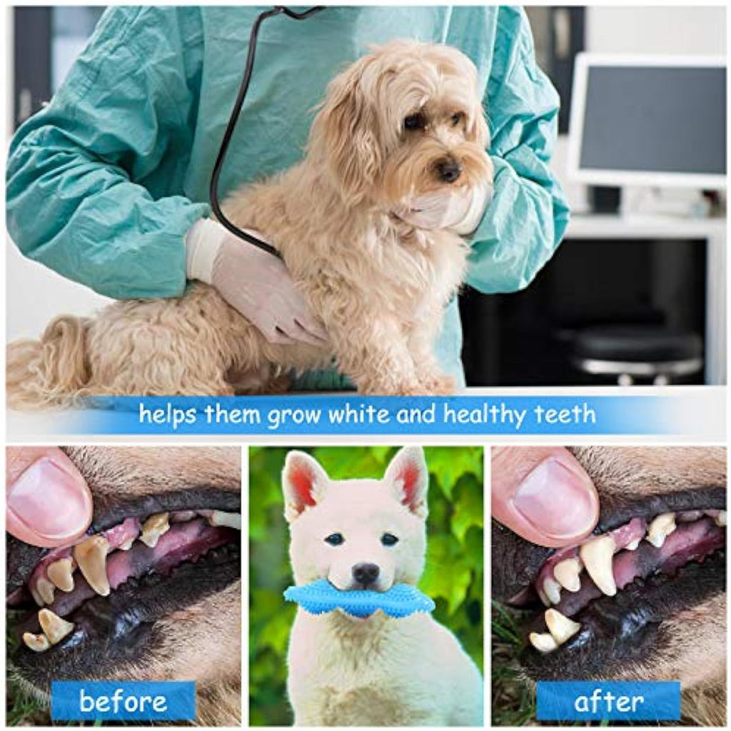 Puppy Chew Toys for Teething Puppies Teething Toys 360 Clean Pet uncategorized / needs cleanup with nature-inspired artwork - product view 4