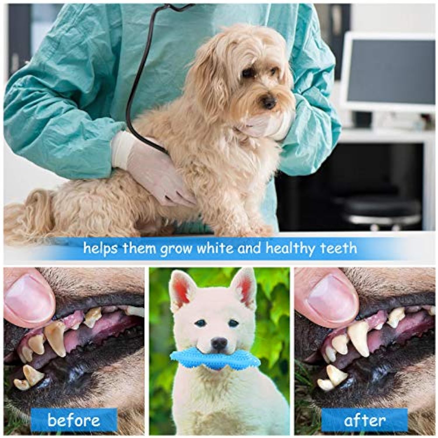 Puppy Chew Toys for Teething Puppies Teething Toys 360 Clean Pet uncategorized / needs cleanup with nature-inspired artwork - product view 4