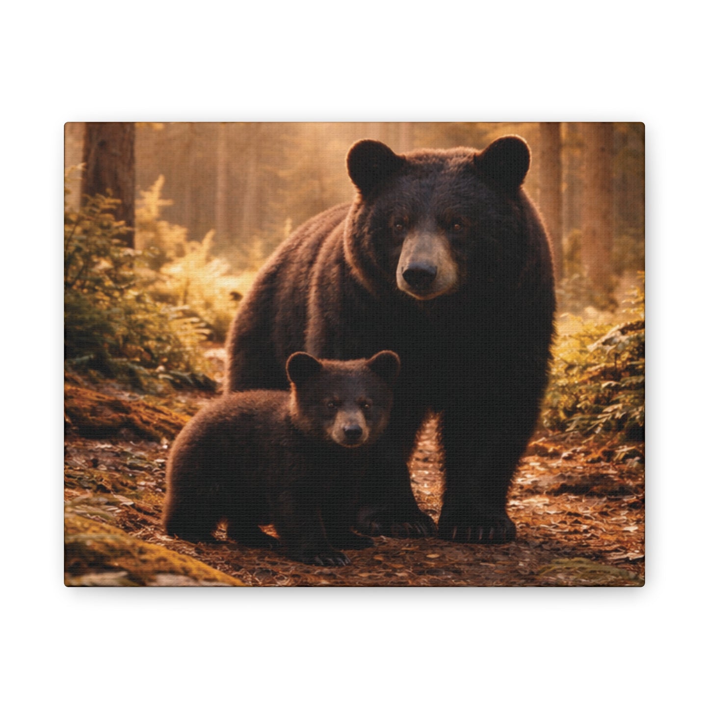 Momma Bear and Cub Wilderness Stretched Canvas