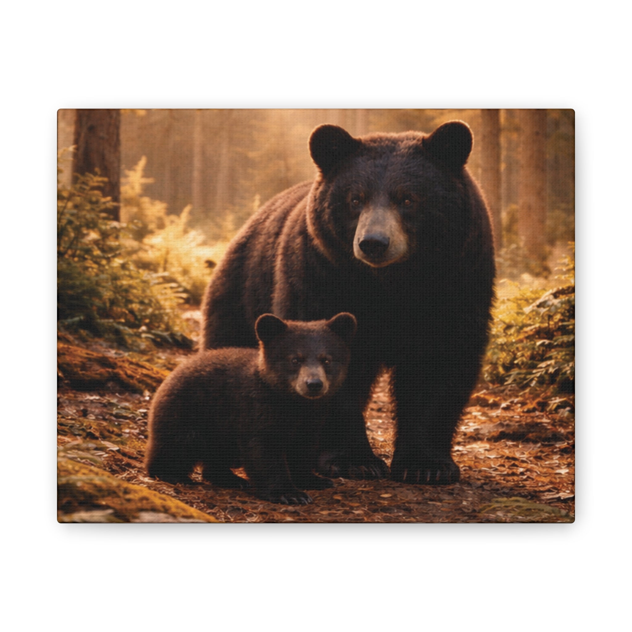 Momma Bear and Cub Wilderness Stretched Canvas