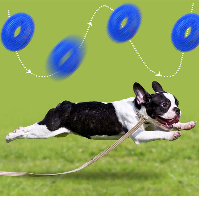 Pet Toy Bite Resistant Sounding Toy Ball uncategorized / needs cleanup with nature-inspired artwork - product view 2