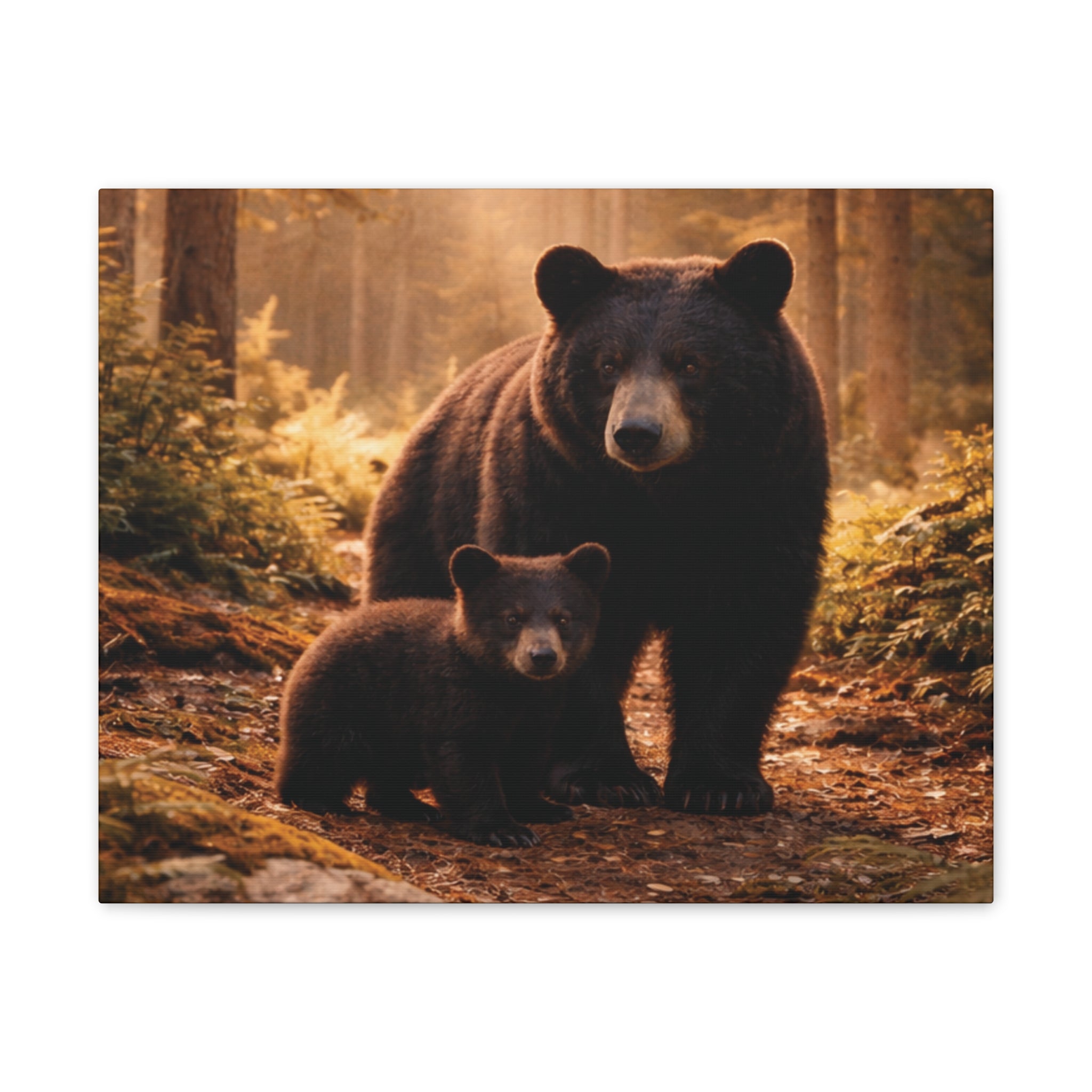 Momma Bear and Cub Wilderness Stretched Canvas
