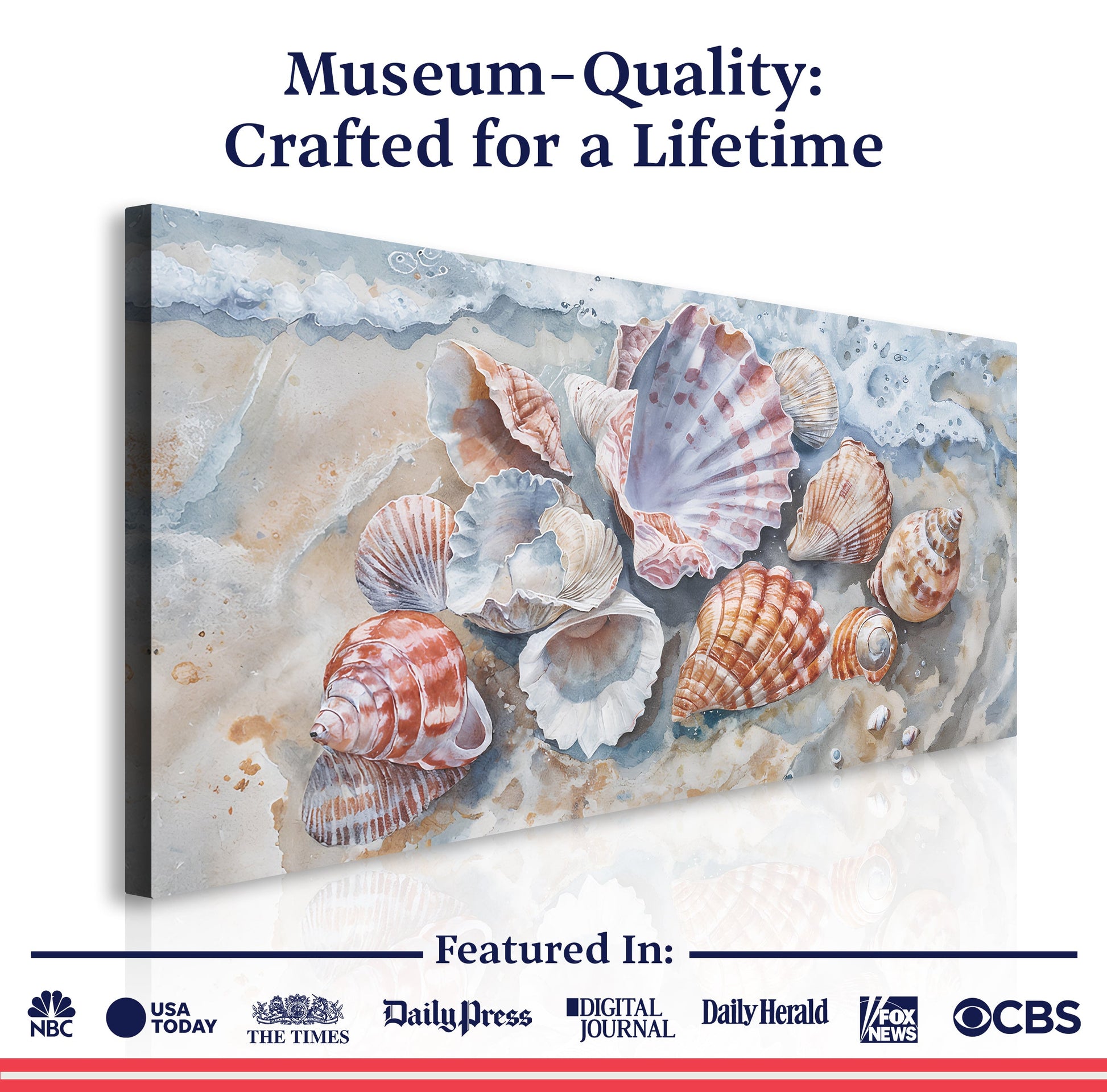Sea Shells Modern Coastal wall art with nature-inspired artwork - product view 6