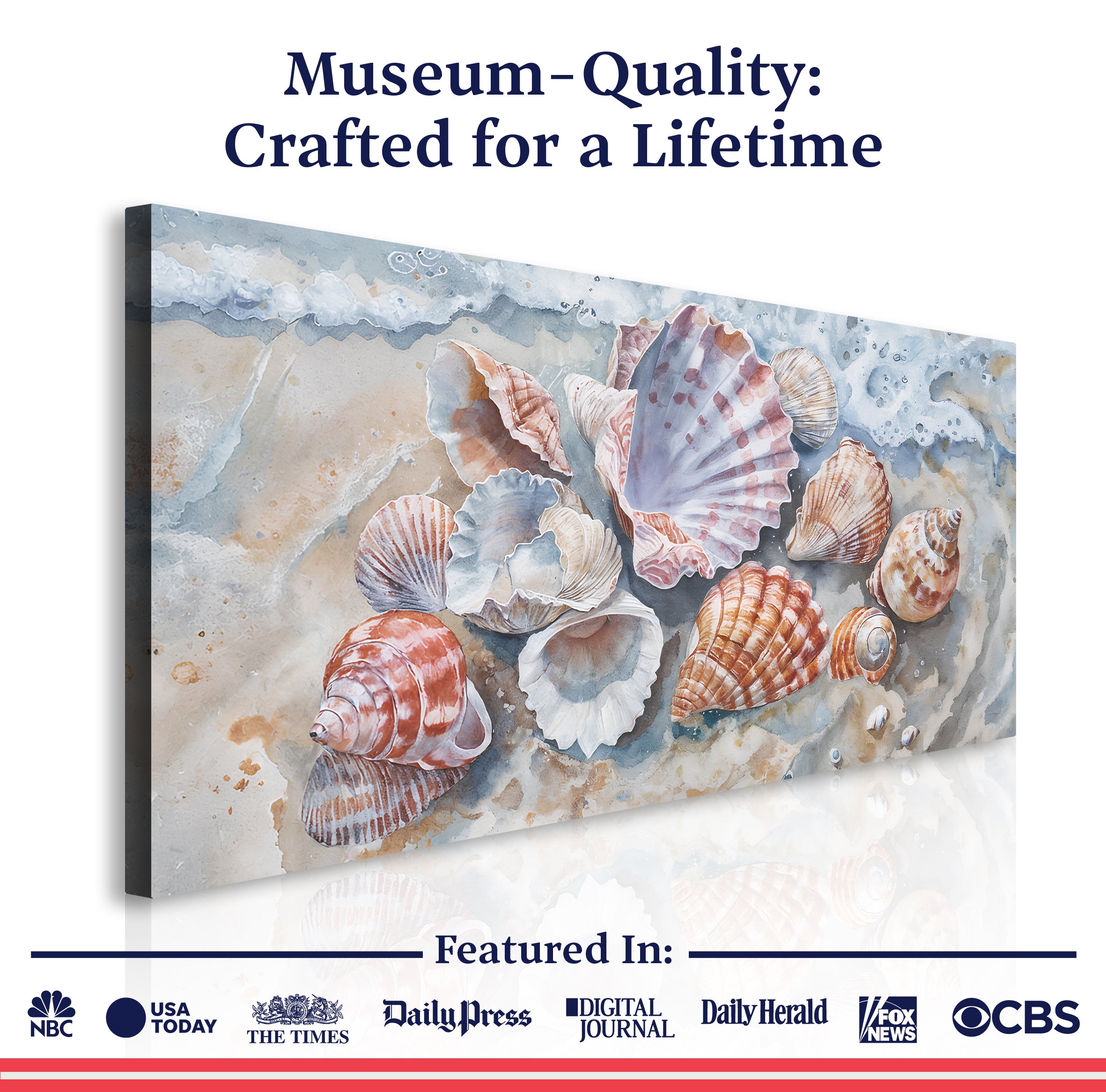Sea Shells Modern Coastal wall art with nature-inspired artwork - product view 6