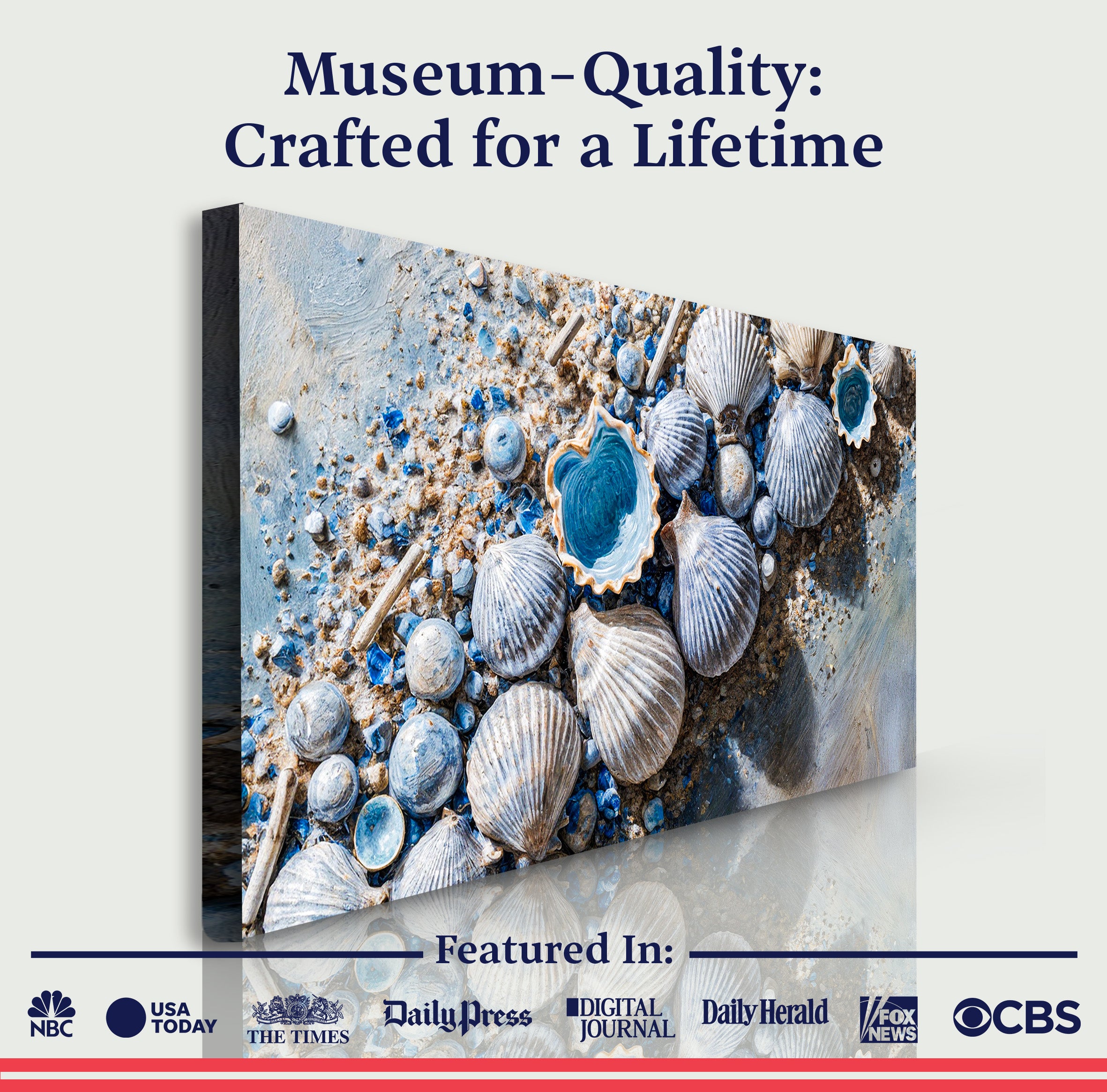 Sea Shells Modern Coastal Ii wall art with nature-inspired artwork - product view 6