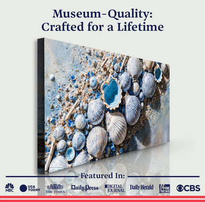 Sea Shells Modern Coastal Ii wall art with nature-inspired artwork - product view 6