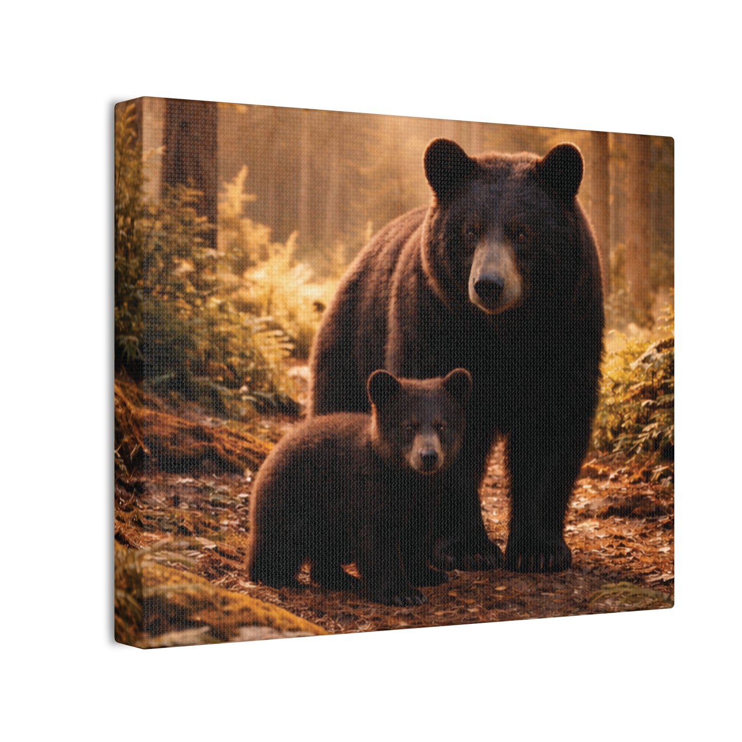 Momma Bear and Cub Wilderness Stretched Canvas