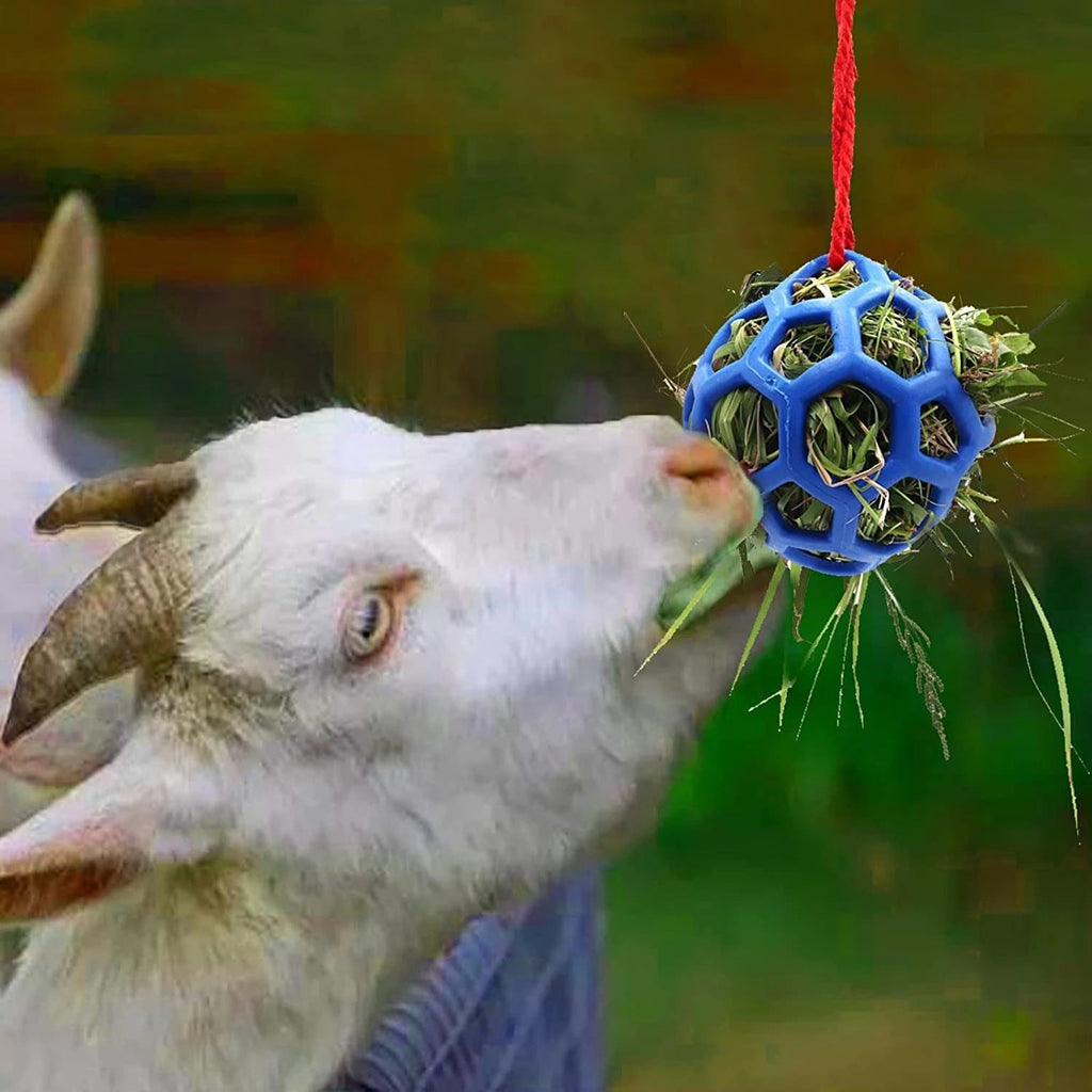 Stable Hanging Hay Feeder Toy Ball uncategorized / needs cleanup with nature-inspired artwork - product view 4