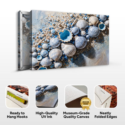 Sea Shells Modern Coastal Ii wall art with nature-inspired artwork - product view 8