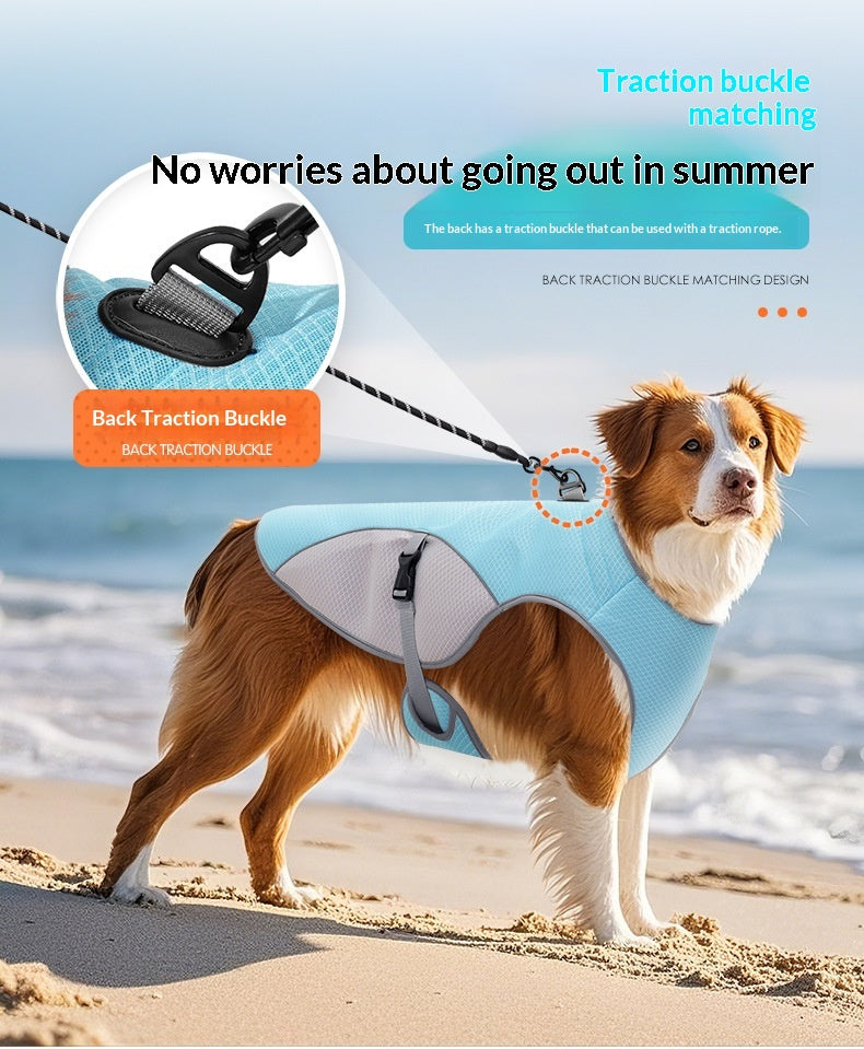 Dog on a beach wearing a blue and gray harness with a back traction buckle, text about summer safety.