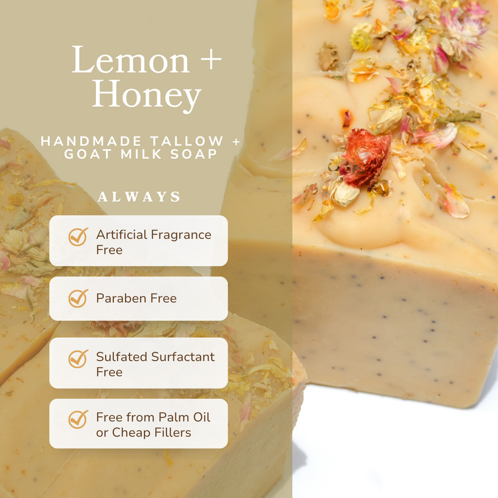 Lemon + Honey + Poppy Seed Handmade Tallow and Goat Milk Soap Bar bar soap with nature-inspired artwork - product view 3