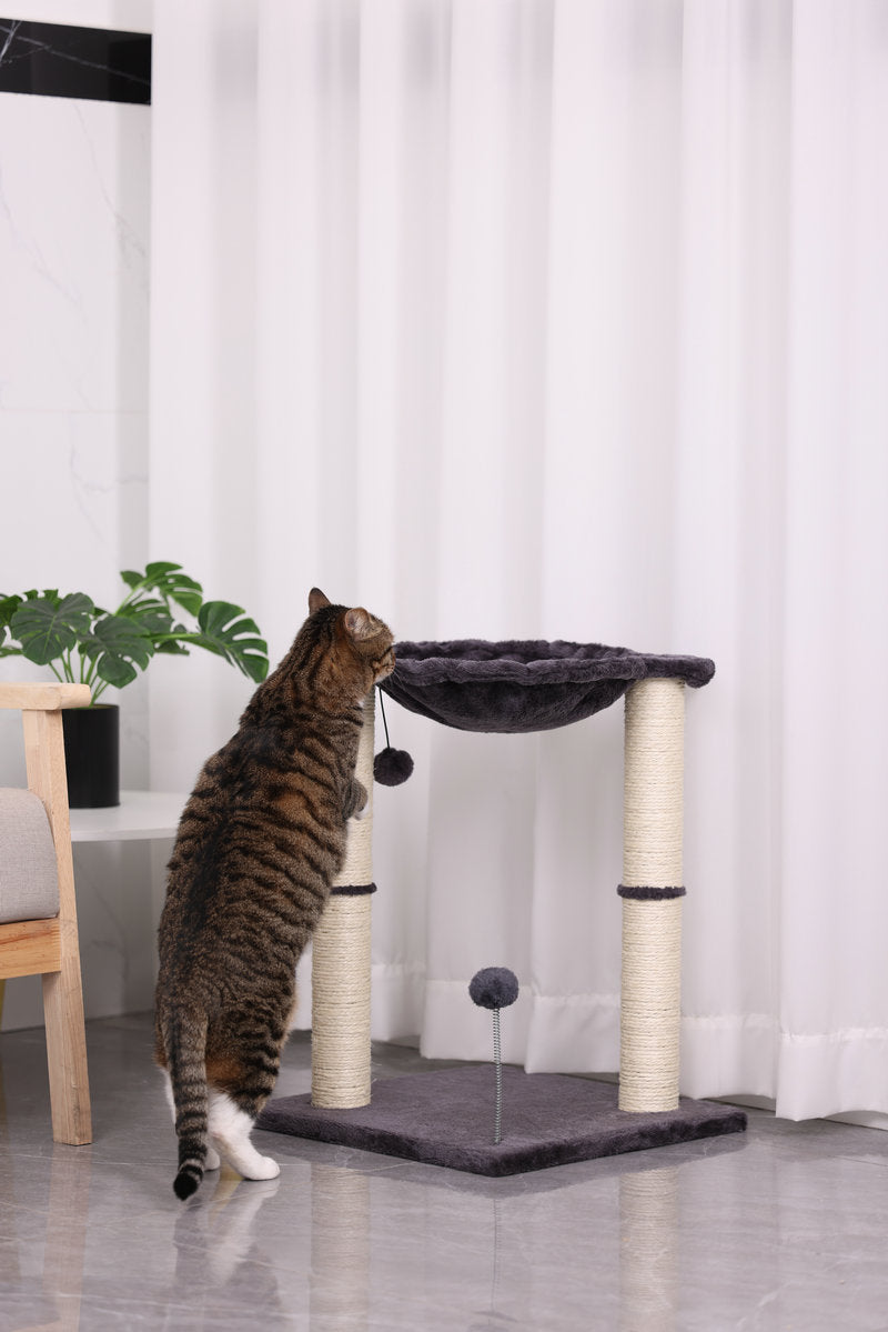 Integrated Cat Scratching Pillar Toy with Nest uncategorized / needs cleanup with nature-inspired artwork - product view 8