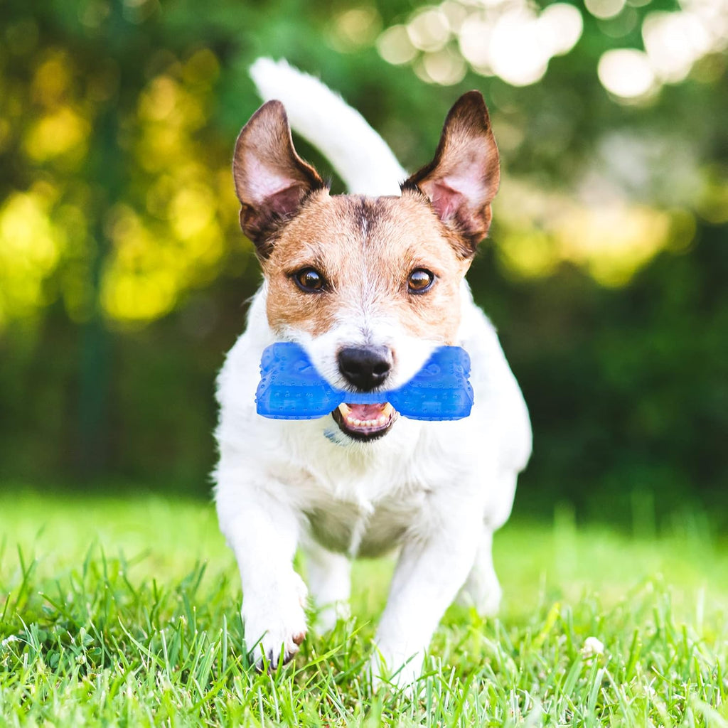 Pet Teether Cooling Chew Toy for Dogs Teething uncategorized / needs cleanup with nature-inspired artwork - product view 9