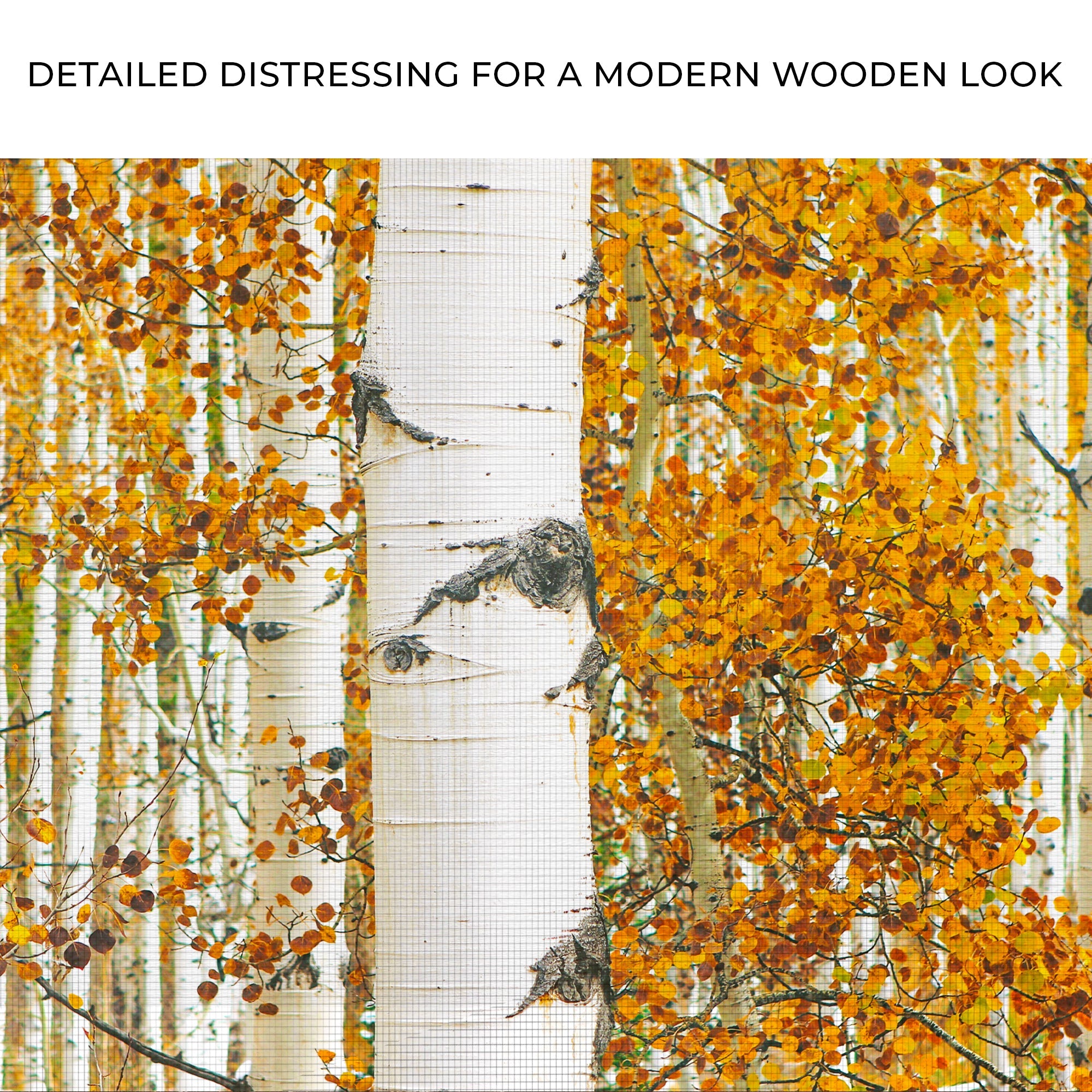 Autumn Tree Barks Canvas wall art with nature-inspired artwork - product view 4