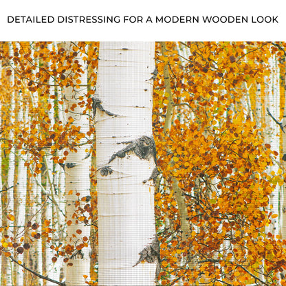 Autumn Tree Barks Canvas wall art with nature-inspired artwork - product view 4