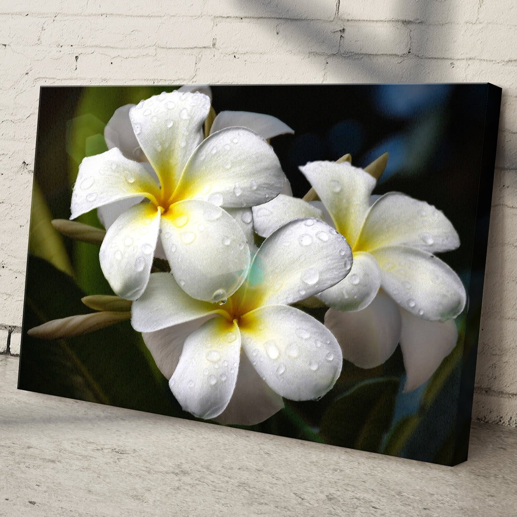 White Frangipani Flower Canvas wall art with nature-inspired artwork - product view 3