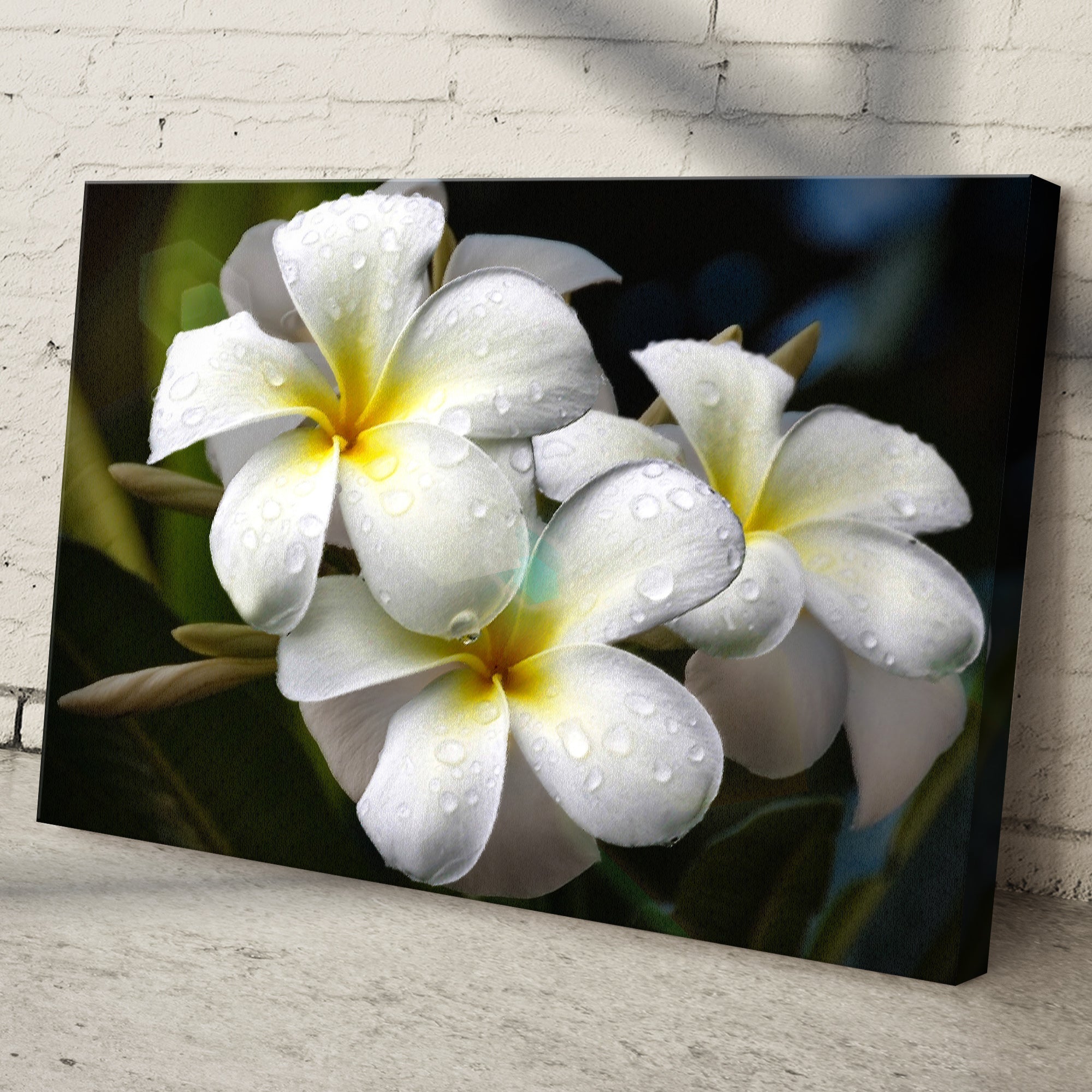 White Frangipani Flower Canvas wall art with nature-inspired artwork - product view 3