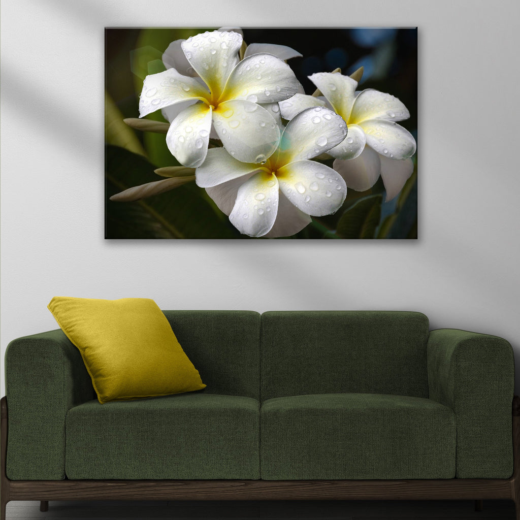 White Frangipani Flower Canvas wall art with nature-inspired artwork - product view 2