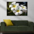 White Frangipani Flower Canvas wall art with nature-inspired artwork - product view 2