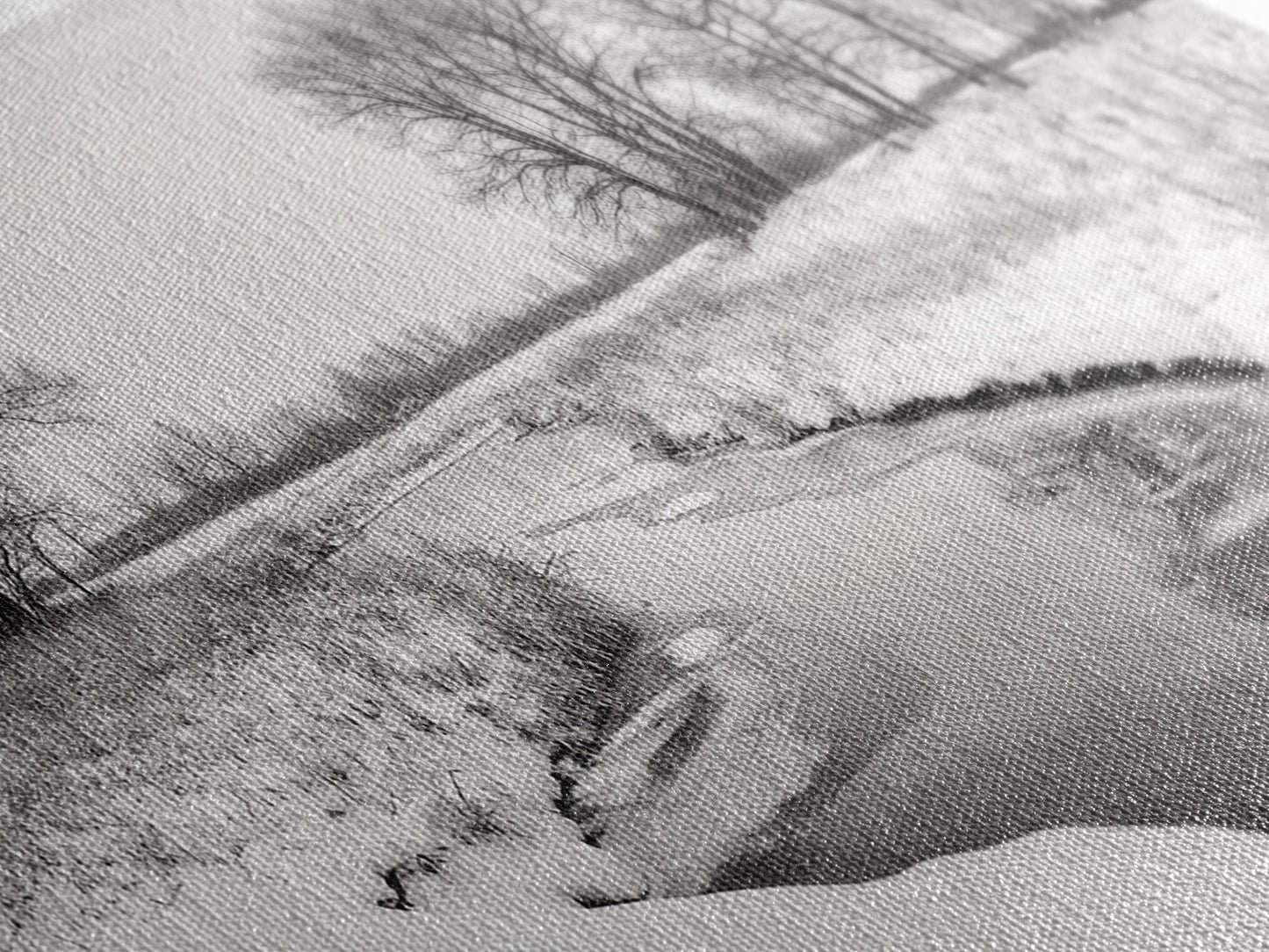 Frozen Stream & Bare Trees | Black & White Landscape Canvas Print