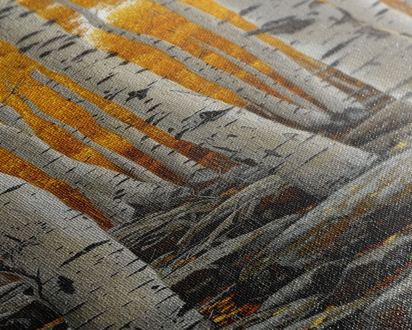 Birch Tree Forest | Framed Canvas Print