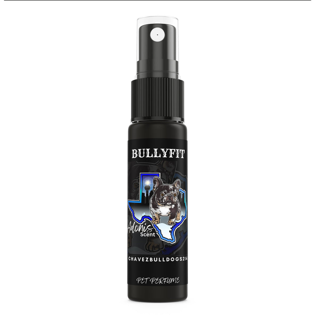 Bullyfit All uncategorized / needs cleanup with nature-inspired artwork - product view 2