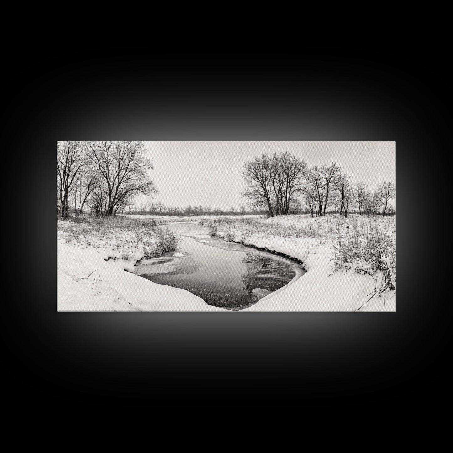Frozen Stream & Bare Trees | Black & White Landscape Canvas Print