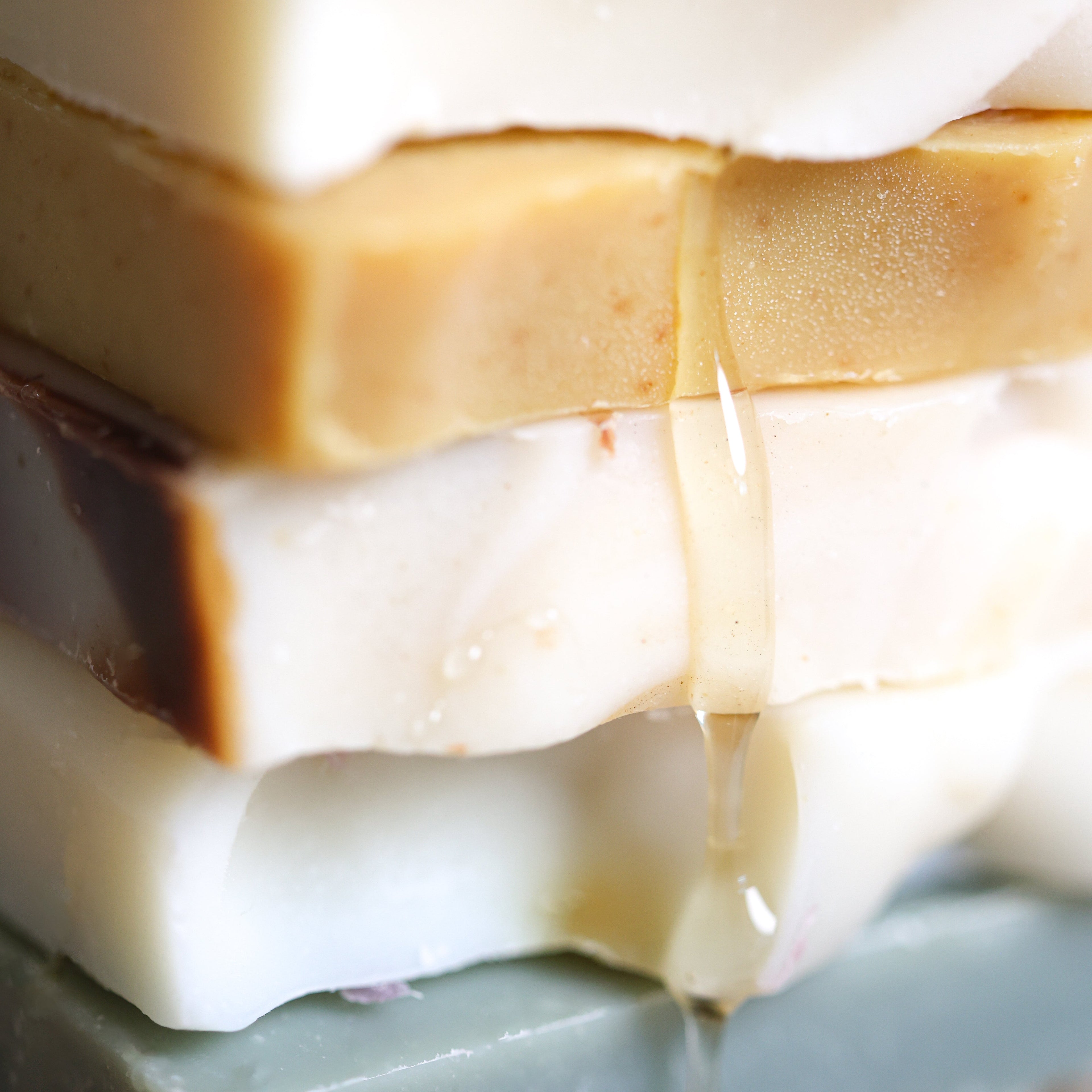 Honeycomb Harvest Goat Milk & Tallow Soap Sampler soap with nature-inspired artwork - product view 2