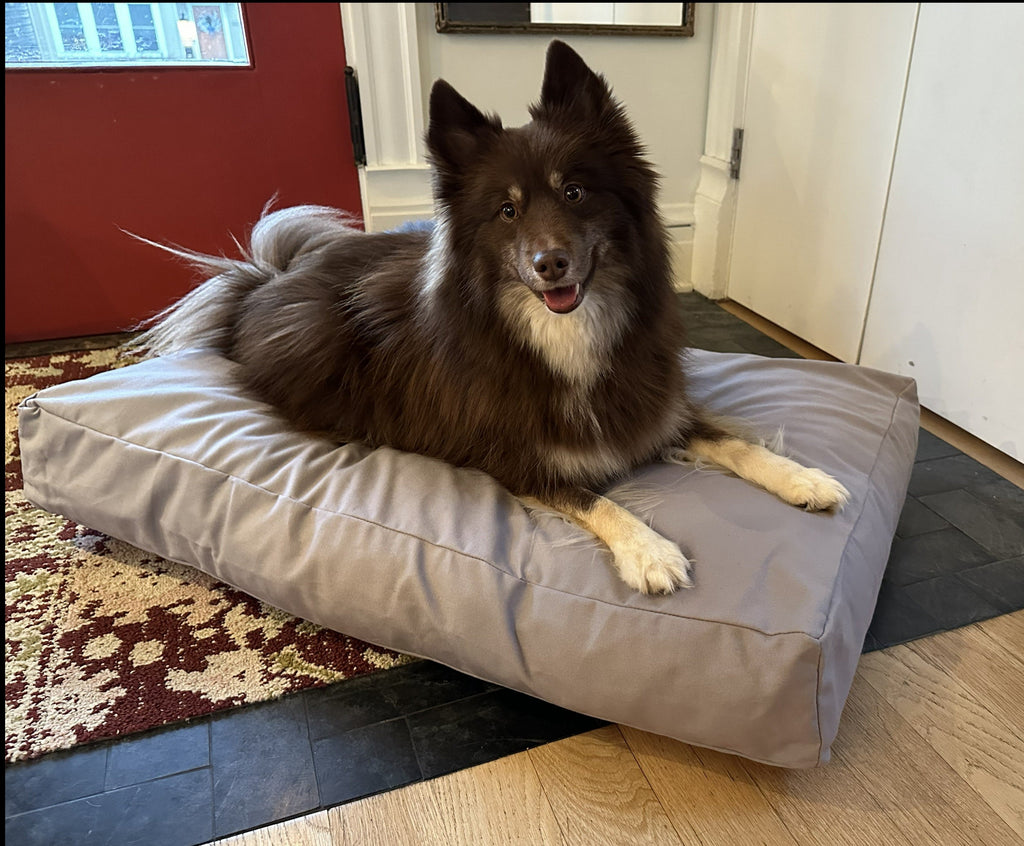 Cotton Duck Canvas Dog Bed wall art with nature-inspired artwork - product view 5