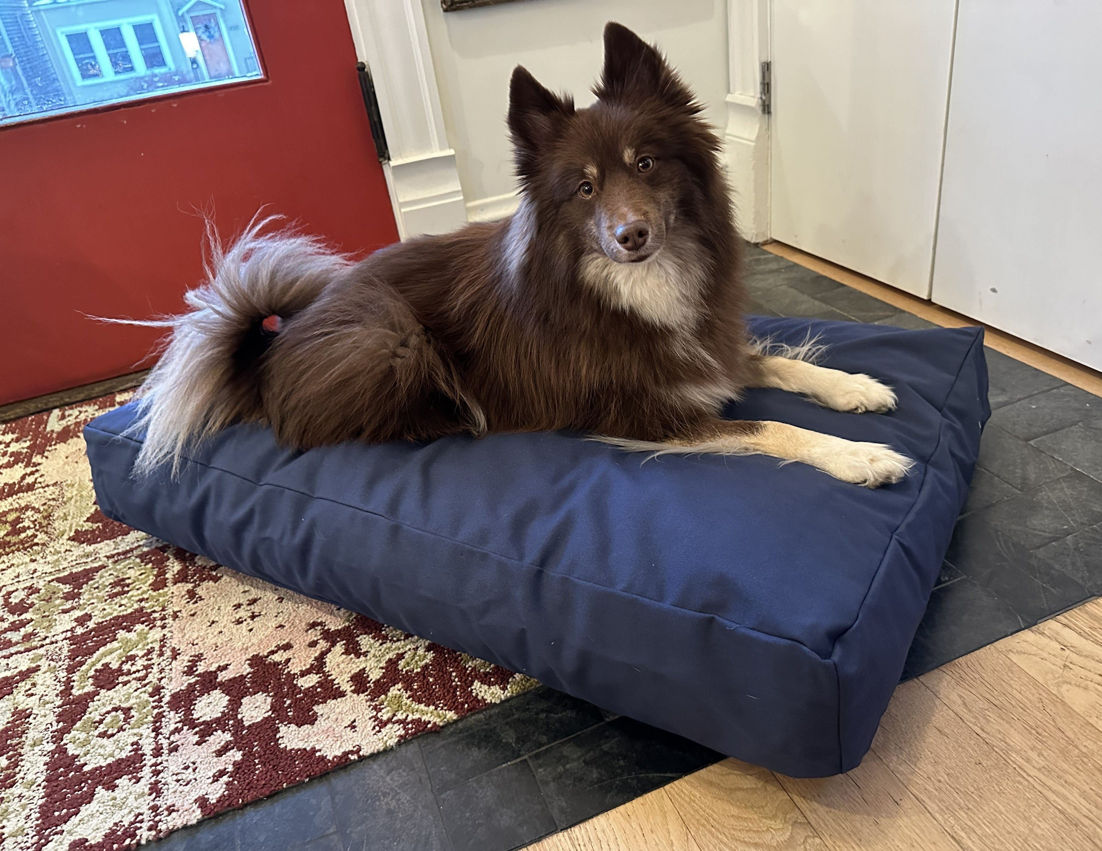 Cotton Duck Canvas Dog Bed wall art with nature-inspired artwork - product view 6